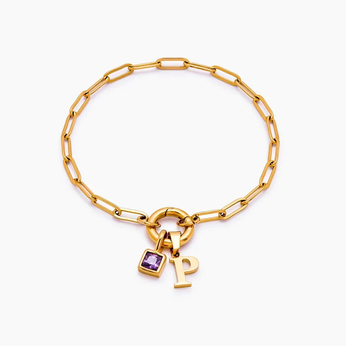 Paperclip Initial Birthstone Bracelet with letter P and amethyst birthstone charms — Olivia Jewelry